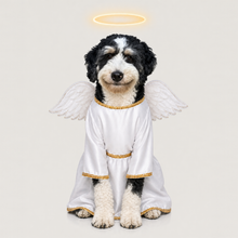 Second example of a personalized dog portrait in The Angel outfit