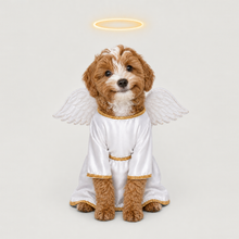 Third example of a personalized dog portrait in The Angel outfit