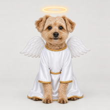 Example of a personalized dog portrait in The Angel outfit