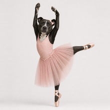 Second example of a personalized dog portrait in The Ballet Dancer outfit