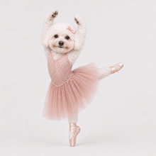Third example of a personalized dog portrait in The Ballet Dancer outfit