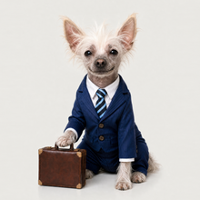 Example of a personalized dog portrait in The Boss outfit