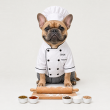 Example of a personalized dog portrait in The Chef outfit