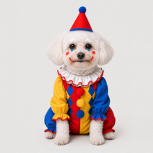 Third example of a personalized dog portrait in The Clown outfit