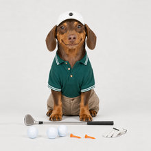Second example of a personalized dog portrait in The Golfer outfit