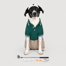 Third example of a personalized dog portrait in The Golfer outfit