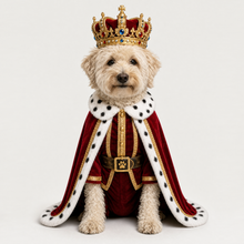 Example of a personalized dog portrait in The King outfit