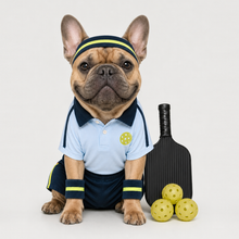 Second example of a personalized dog portrait in The Pickleballer outfit