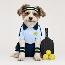 Example of a personalized dog portrait in The Pickleballer outfit