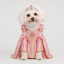 Second example of a personalized dog portrait in The Princess outfit