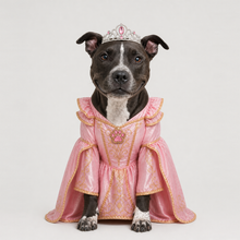 Third example of a personalized dog portrait in The Princess outfit