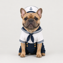Second example of a personalized dog portrait in The Sailor outfit