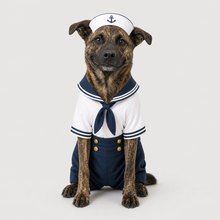 Third example of a personalized dog portrait in The Sailor outfit