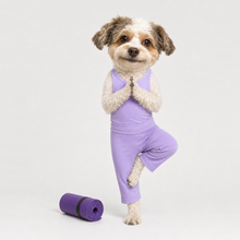 Third example of a personalized dog portrait in The Yogi outfit